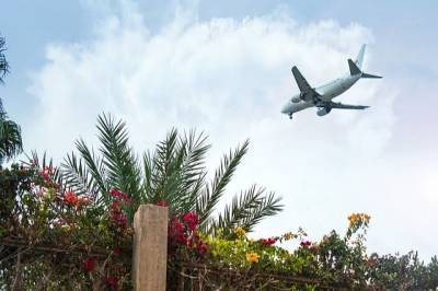 МИД: Полеты на курорты Египта могут возобновиться этим летом