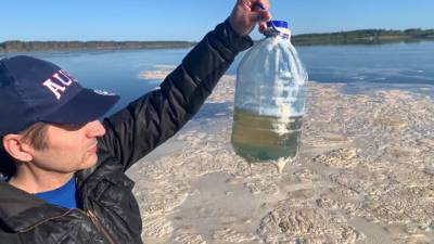 Сильное загрязнение реки активисты Архангельской области сняли на видео