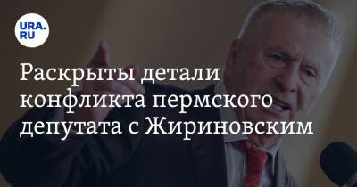 Раскрыты детали конфликта пермского депутата с Жириновским. Скрин