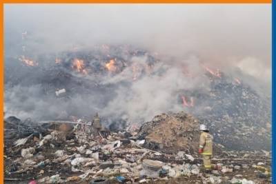 Рязанский природоохранный прокурор накажет виновных в пожаре на городской свалке
