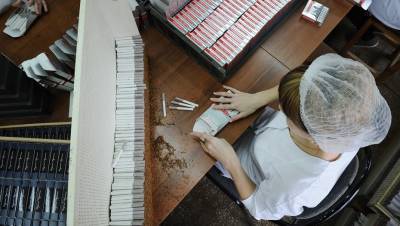 В производство табачных стиков в Петербурге инвестируют ещё 4 млрд