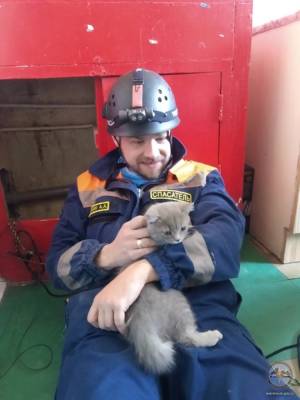 «Незапланированный десант»: в Петербурге спасатели вытащили котенка, провалившегося в вентиляцию