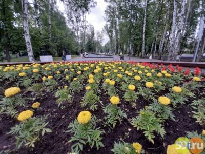 К Дню города во всех районах Перми оформят цветники