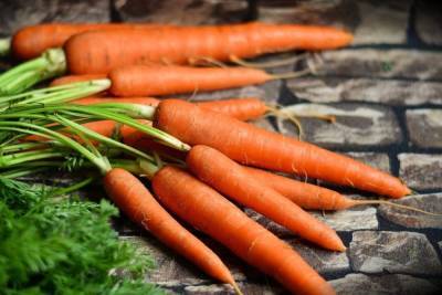 Нижегородский Россельхознадзор обнаружил повышенное содержание нитратов в молдавской моркови