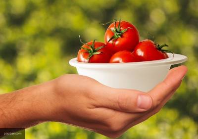 Садоводам рассказали, как правильно ухаживать за томатами в июне