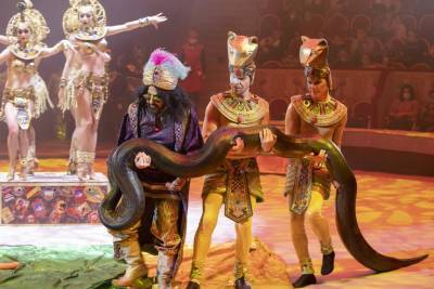 На Фонтанке проведут цирковые представления для ленинградских малышей