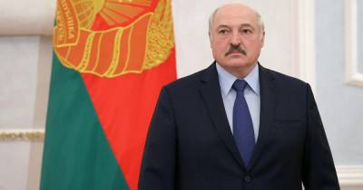 Лукашенко пригласил следователей из Донбасса пообщаться с Протасевичем