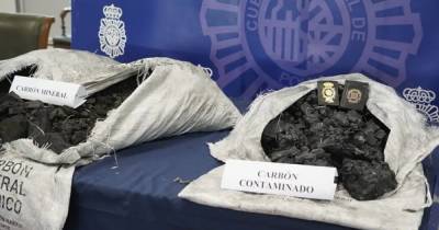Черный и без запаха: в Испании изъяли почти тонну кокаина, замаскированного под древесный уголь