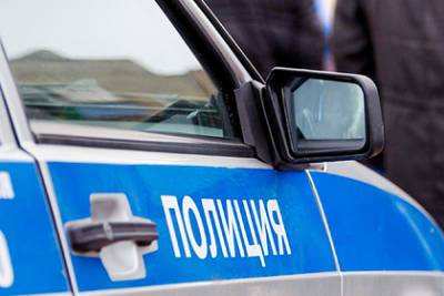 МВД ответило на данные об окруживших полицию под Новосибирском азербайджанцах