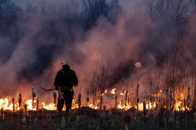 О высокой пожарной опасности предупреждают жителей Псковской области