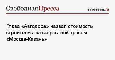 Глава «Автодора» назвал стоимость строительства скоростной трассы «Москва-Казань»