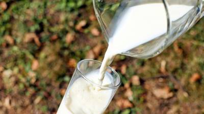 Эксперт дала советы по покупке качественного молока