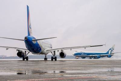 Минтранс ФРГ сообщил о причине отмены рейсов из России в Германию