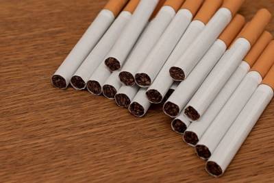 В Петербурге нарастят производство нагреваемых табачных стиков