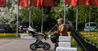 Правительство одобрило законопроект о праве детей жить с бабушками - klops.ru