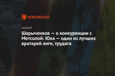 Шарыченков — о конкуренции с Метсолой: Юха — один из лучших вратарей лиги, трудяга