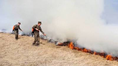 Новости на "России 24". Огонь уничтожил в Якутии более 4 тысяч гектаров леса