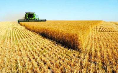 Украина планирует увеличить аграрный экспорт в Ирак