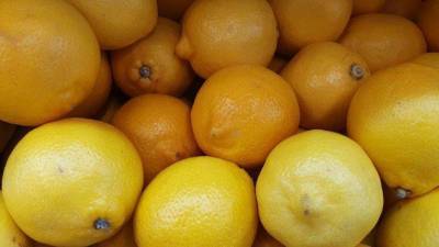 Как вырастить лимон: 5 рекомендаций