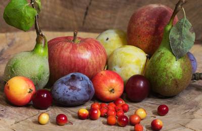 ТОП-5 плодовых культур, которые выгодно выращивать на Сумщине