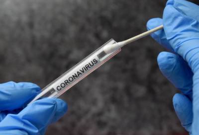 Почти 40 тыс. человек сдали тест на коронавирус в Петербурге за сутки