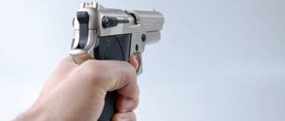 Парламент Чехии разрешил самозащиту с оружием