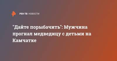 "Дайте порыбачить": Мужчина прогнал медведицу с детьми на Камчатке