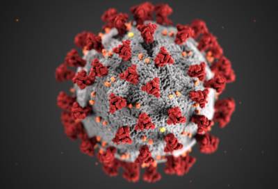 В России выявили более 17 тыс. заболевших коронавирусом за сутки