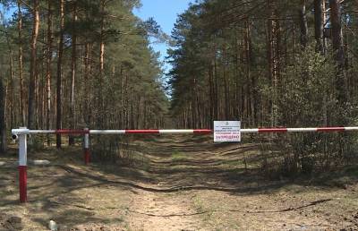 Запреты на посещение лесов введены в 25 районах Беларуси