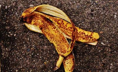 Почему не нужно выбрасывать банановую кожуру: семь удивительных причин (Al Ahram, Египет)