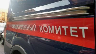 СК проверит инцидент со встававшим на колени ребенком в Красноярске