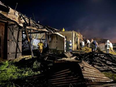 В результате пожара в польском селе пострадали девять человек и почти 50 зданий
