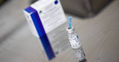 Гинцбург назвал срок начала вакцинации от коронавируса беременных россиянок