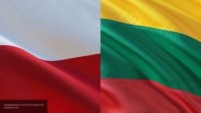 Жители Литвы и Польши возмущены попытками властей дестабилизировать Белоруссию