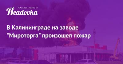 В Калининграде на заводе «Мироторга» произошел пожар