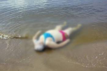 55-летняя женщина сегодня утонула в реке Шексне