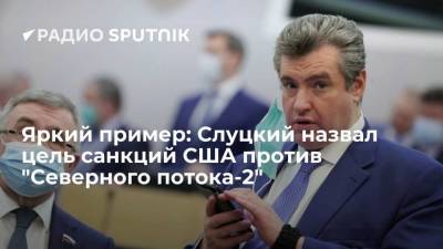 Яркий пример: Слуцкий назвал цель санкций США против "Северного потока-2"