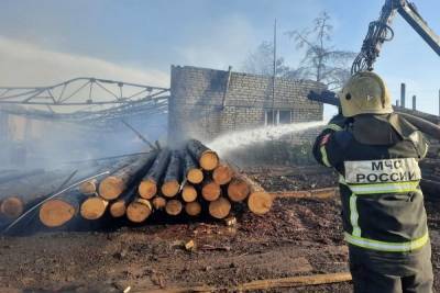 Вечером 20 июня в смоленской деревне Пенеснарь горела пилорама