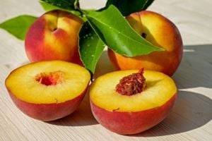Кому нельзя есть персики – ответ экспертов