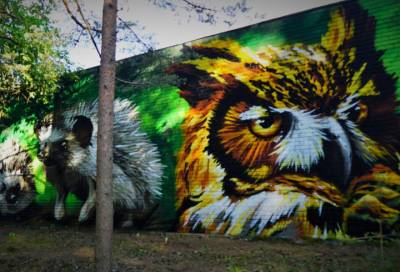 Уличные художники начали работу в сосновоборском Приморском парке