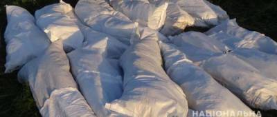 На Донетчине полицейские уничтожили почти 5 тысяч кустов конопли