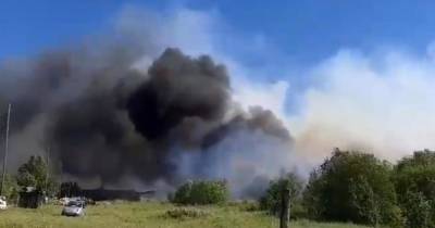 Тушат 12 часов: пожар в леспромхозе под Екатеринбургом локализовали