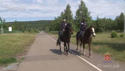 В Кемерове с начала сезона конная полиция пресекла 40 правонарушений