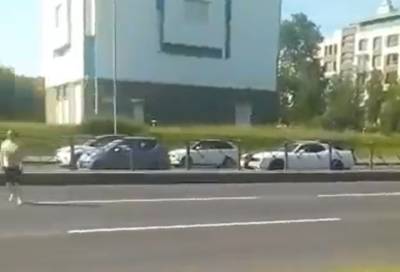В Петербурге водители остановились, чтобы пропустить утиное семейство
