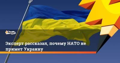 Эксперт рассказал, почему НАТО не примет Украину