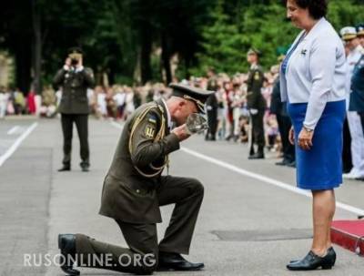 «Какое позорище»: Офицер ВСУ встал на колени перед послицей Великобритании