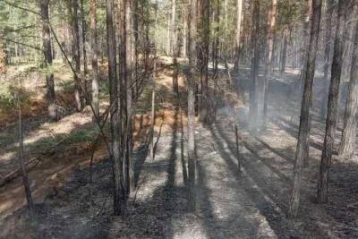 В лесах Бурятии тушат сложный пожар