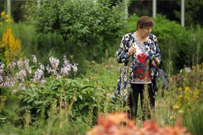 Оранжереи Ботанического сада закрываются из-за жары