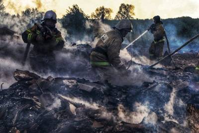 Пожарные в селе Чемякина остановили огонь перед жилыми домами