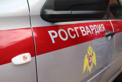 В Переславле росгвардейцы спасли двух малышей